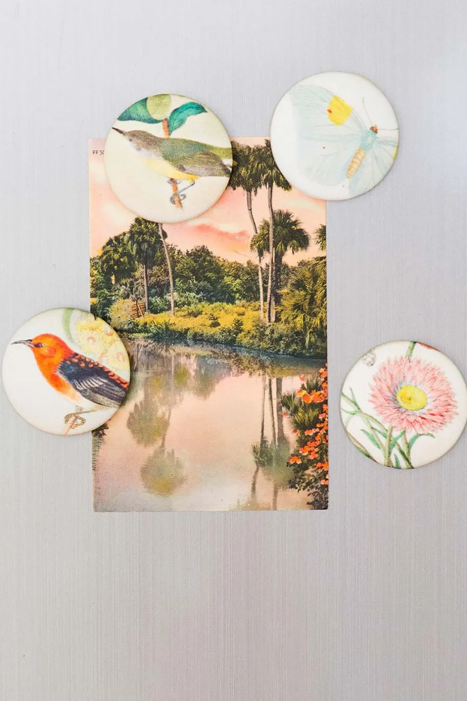 Flash Sale Lazybones Flutter Magnet