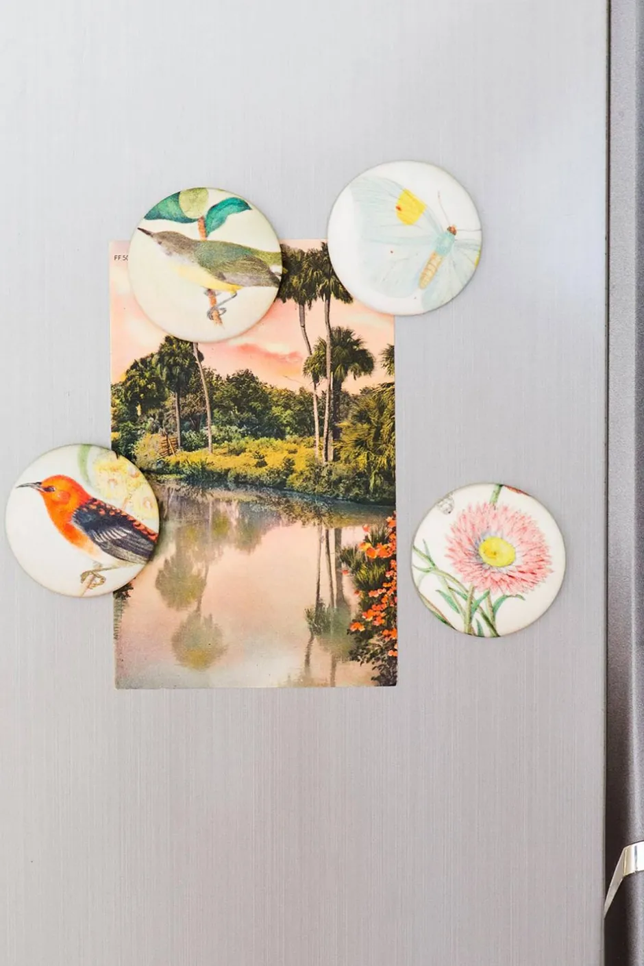 Cheap Lazybones Honey Eater Magnet