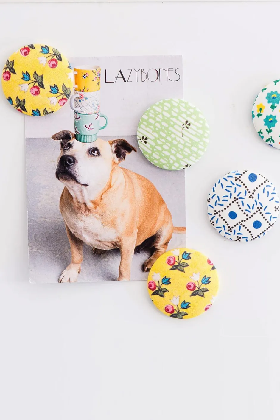 Shop Lazybones Lottie Magnet